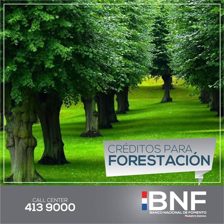 Préstamos Para Inversiones 