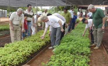 ABC - Piden uso oficial de madera reforestada